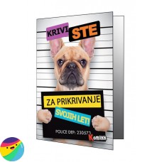 Voščilnica - Krivi ste za prikrivanje svojih let